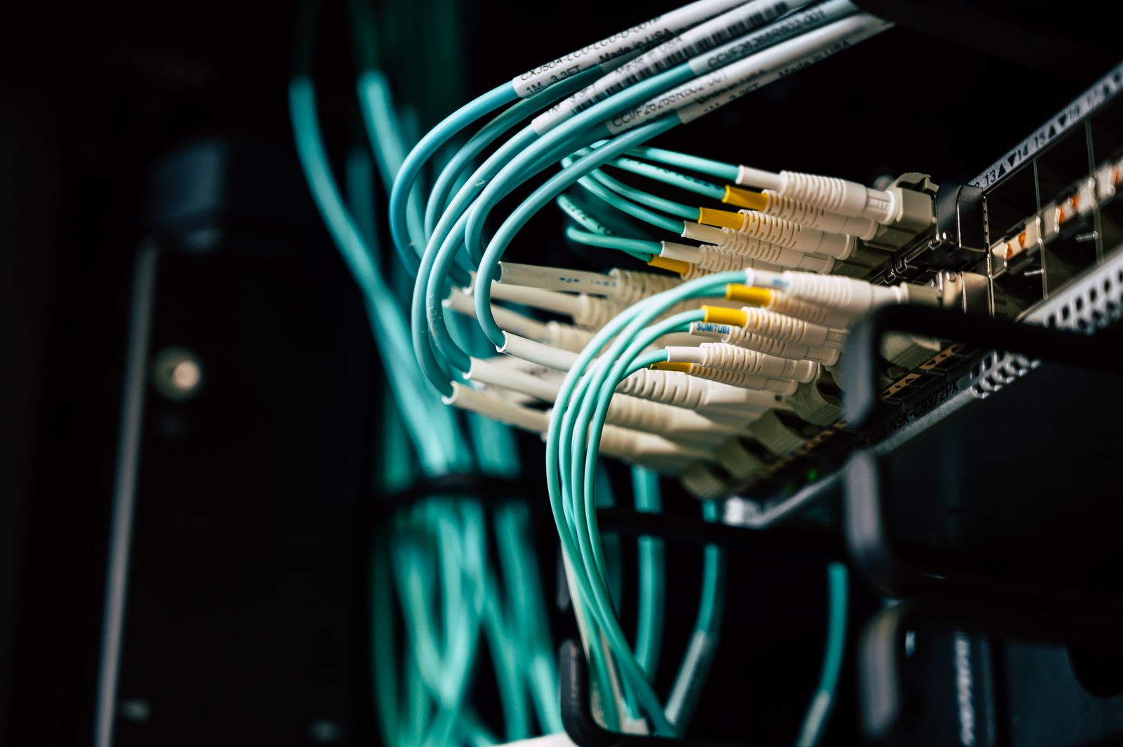 Teal fibre patch cables with LC connectors plugged into the ports of a network switch